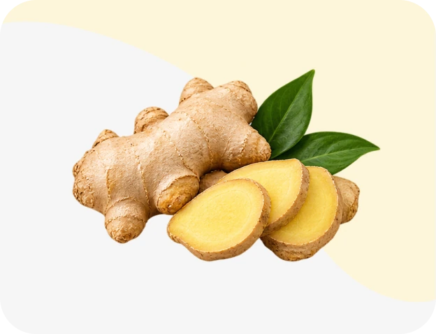 Ginger